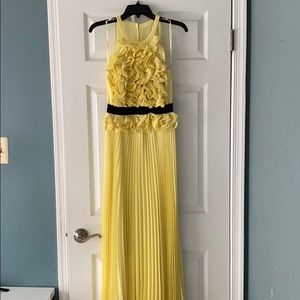 Size 2 BCBG high neck, long pleated yellow dress